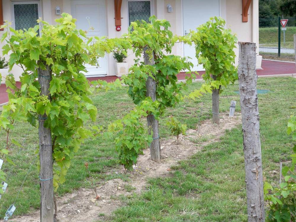 Natur'Hotel Menesplet Bagian luar foto